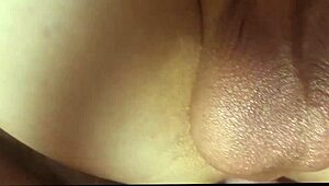 Young Chubby Blokes Experience Maximum Pleasure in Gay Fucking and Anal Action.