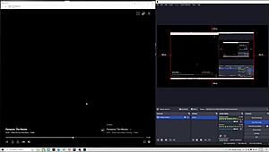What Is This Personal Use Video?