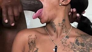 sexy chick does interview then deep throats bbc