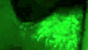 Sexy Girl Gets Deepthroat And Squirts In 3D.