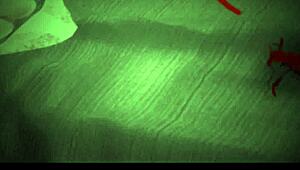 Hey, wanna know how to fuck for a job in Sims 4?