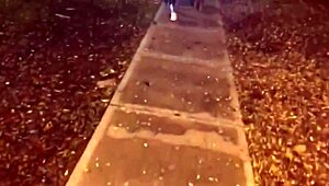 I found an innocent big-ass girl with small tits in the park, she fucks for money in a motel.