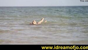 Surf's Up with Solo Beach Action for Brunette Guy