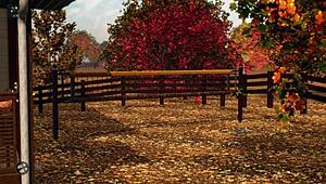 Hey, check this Japanese hentai slave in bondage! Deviant Anomalies 23 rocks!