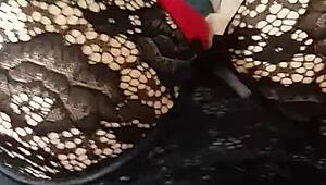 mi tia me regala lenceria usada y la estreno