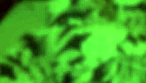 Alice Loves Huge Dick Sliding Into Her Narrow Ass in Part 1