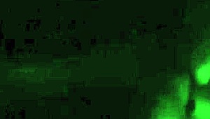 Suzi Experiences Intense Pleasure in the Sex Cinema with Hentai Elements.