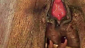 I Lick Her Pussy & She Suck My Dick After Taking A Piss On The Road