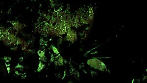 Back in the day, vintage erotic drawings told wild stories.