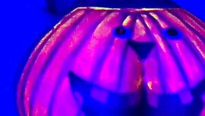 i love twerking that big ass pumpkin