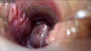 yo, this anime hentai got me hooked on wild vaginal orgasm scenes!