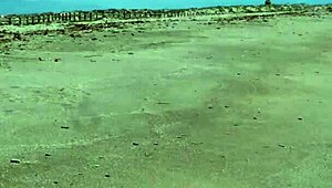 Dogging with a Stranger Turns Wild on the Beach Bareback