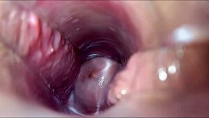 yo, this anime hentai got me hooked on wild vaginal orgasm scenes!