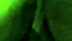 Wife's tight pussy and ass get fucked