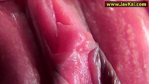 इस एक्सक्लूसिव जापानी मॉडल को लेस्बियन ऐनल ऐक्शन में देखो अभी!