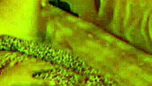 SINGLE, I OPEN MY LEGS AND TAKE IT ALL IN DOGGYSTYLE!