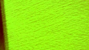 faith delucas craves that rough raw sex