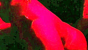 An older man pays for a night of oral pleasure with a mature woman