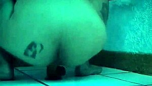 la pandita recibe el año caliente con su juguete favorito