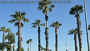 We ride with these pornstars in a group blowbang, banging their shaved pussies and bubble butts in thongs