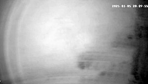 Stepmom boldly fucks stepson