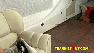 Tranniesrus - My Hot Step Mom’s Shocking Secret