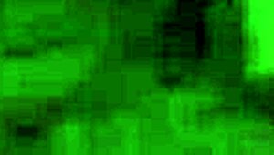 Vietnamese beauty performs an enticing oral session