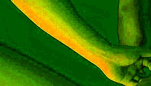 i worship her big ass toes and lick her wet pussy