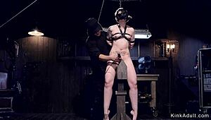 blonde bound in doggy gets harsh caning