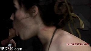 बस मेटल केज हेलमेट पहने आराम से बैठा हूं। वाइल्ड टाइम्स आ रहे हैं