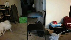 slutty ex teen rides monster black cock at university for nasty cum fun. watch her go wild.