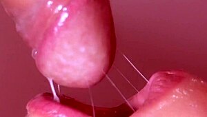 Japanese Porn Story Unleashed