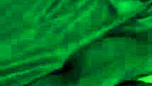 Devar Bhabhi Sex in Hindi - Ravinadesi Enjoys Butt Plug and Hard Pounding