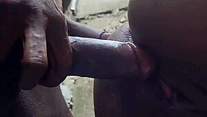 वेलकम बैक इंटेंस फकिंग और ज्यूसी एक्शन के साथ