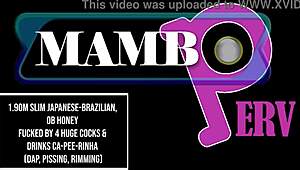 Ever tried a Japanese-Brazilian Honey with Huge Cocks?