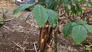 Pinay Asian Teen Fucked in Public Near the Road, So Wild