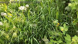 we masturbate with neighbor on street and cum together - lesbian illusion