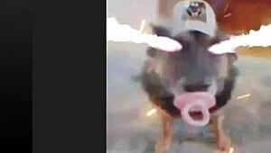 Osu Standard Play With Hechizeros Band And Koji Kondo Mashup