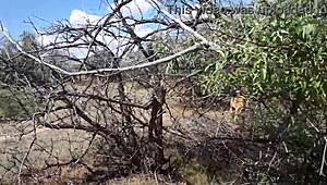 Savannah Vixen Hints at Mature Outdoor Escapades