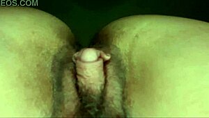 Hairy Pussy Fucked, Clit Swells To Micro Penis Size