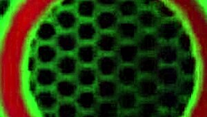 Rahyndee James Grabs Philly Jhons Load on Sexy Soles