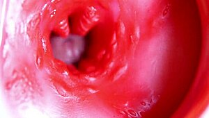 Big red cock in juicy hole ready to cum