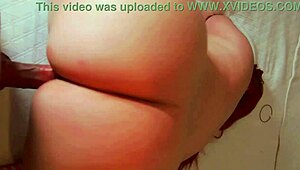 बेवफा बीवी पति के पापा से चोरी से चुदाई करती है, गुप्त क्विकी में