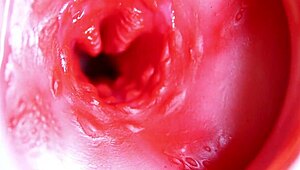 Big red cock in juicy hole ready to cum