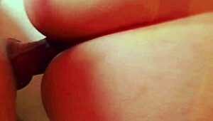 बेवफा बीवी पति के पापा से चोरी से चुदाई करती है, गुप्त क्विकी में