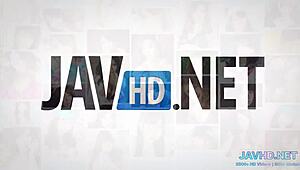 Hot Asian Chicks Vol 40 Get Rough Anal Action!