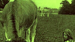 Dark Lantern Entertainment Presents Erotic Confessions of a Victorian Gentleman with Raw Bareback Action