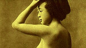 Vintage erotic confessions from a victorian gentleman