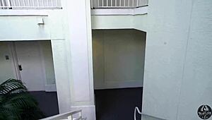 Louie's european neighbor visits florida for a friendly meetup