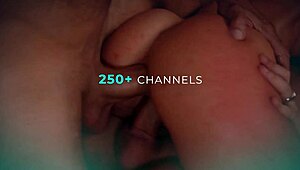 Why Did The Husband Hide His Family So Long? Penny Barber And Kenna James In Hardcore Cuckold Submission Fucking.